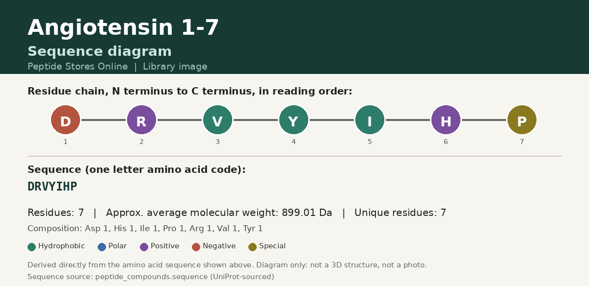 Angiotensin 1-7