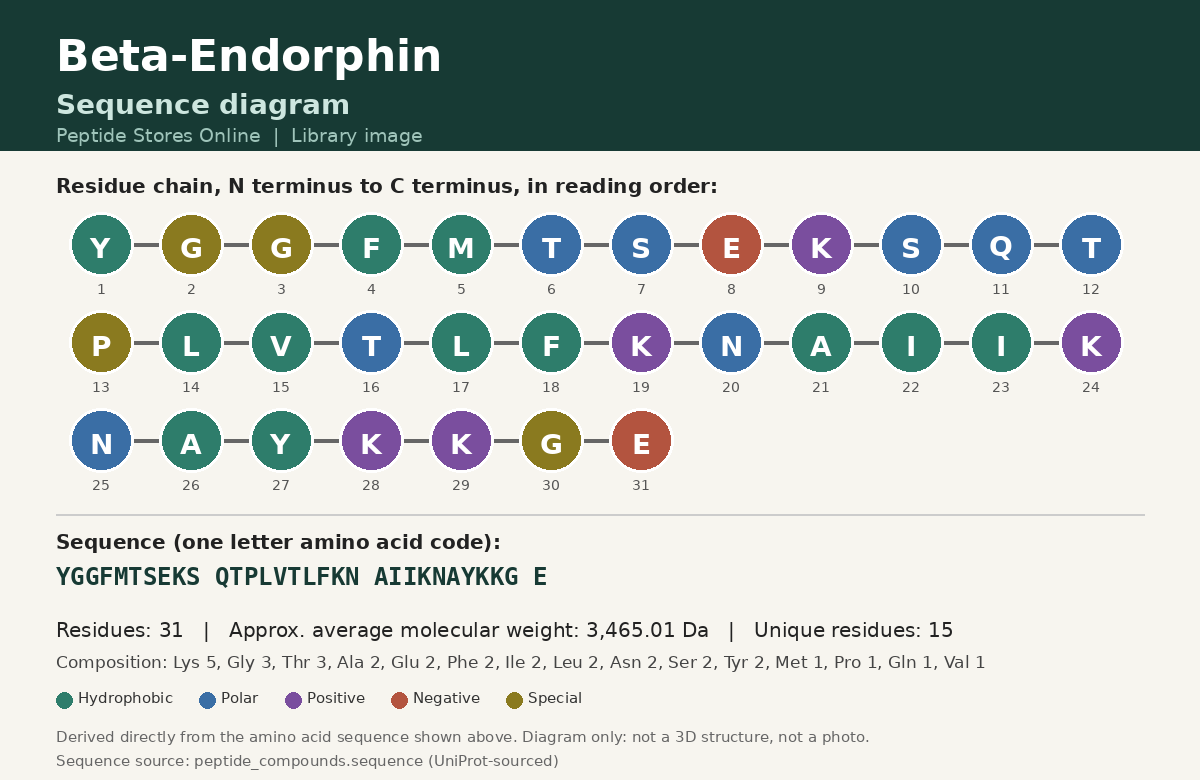 Beta-Endorphin