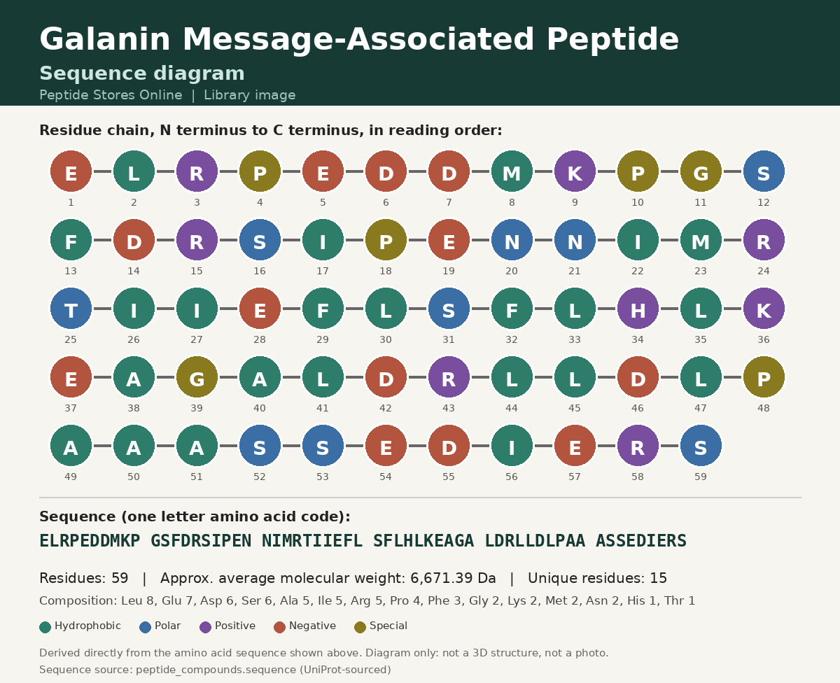 Galanin Message-Associated Peptide