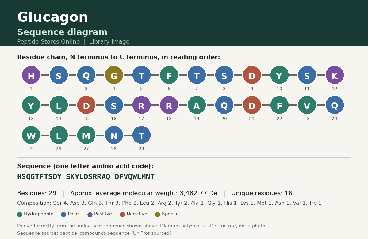 Glucagon