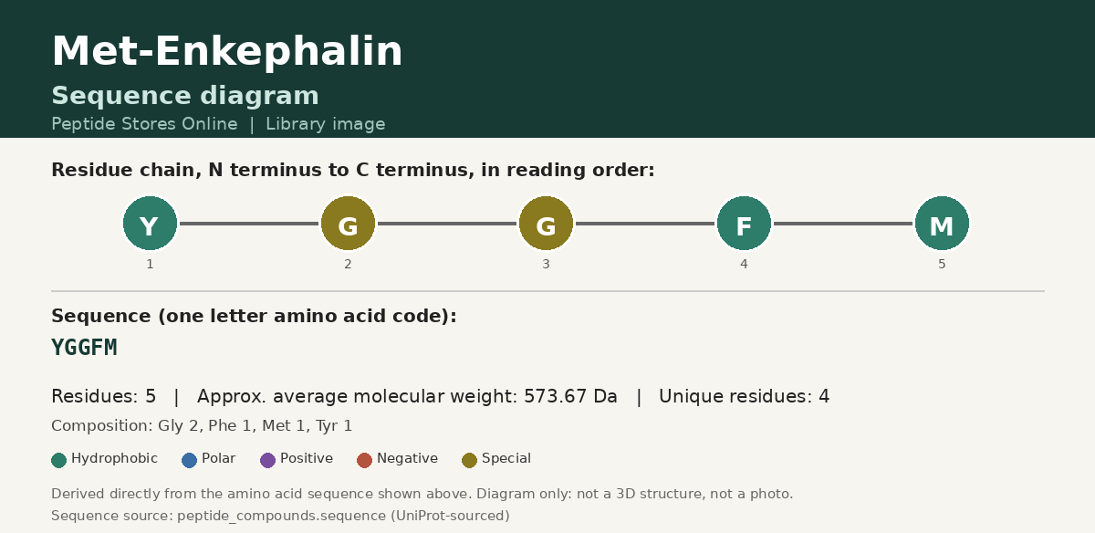 Met-Enkephalin